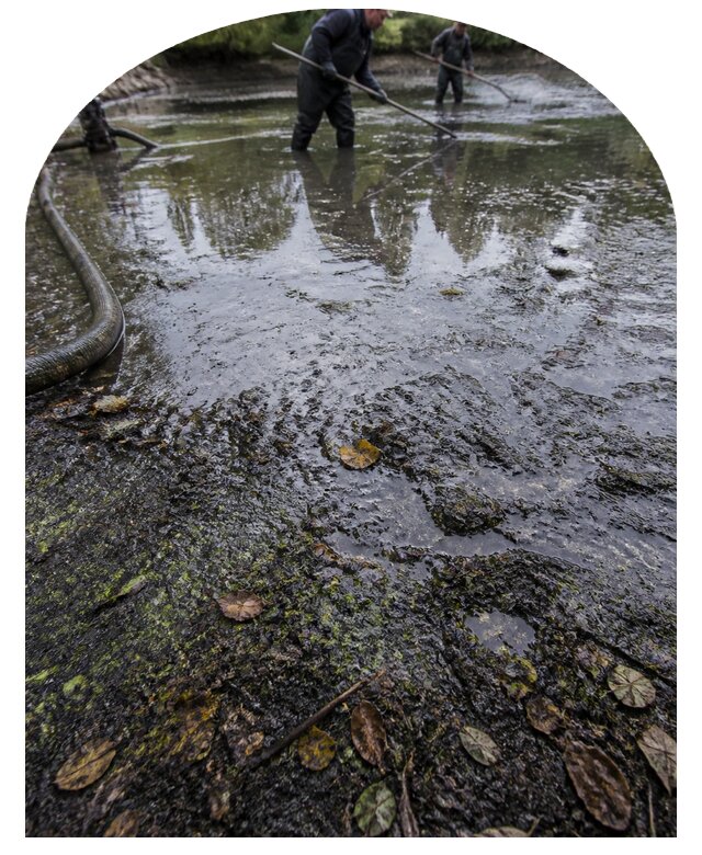 Очистка пруда в Севастополе от ила мусора и водорослей с вывозом